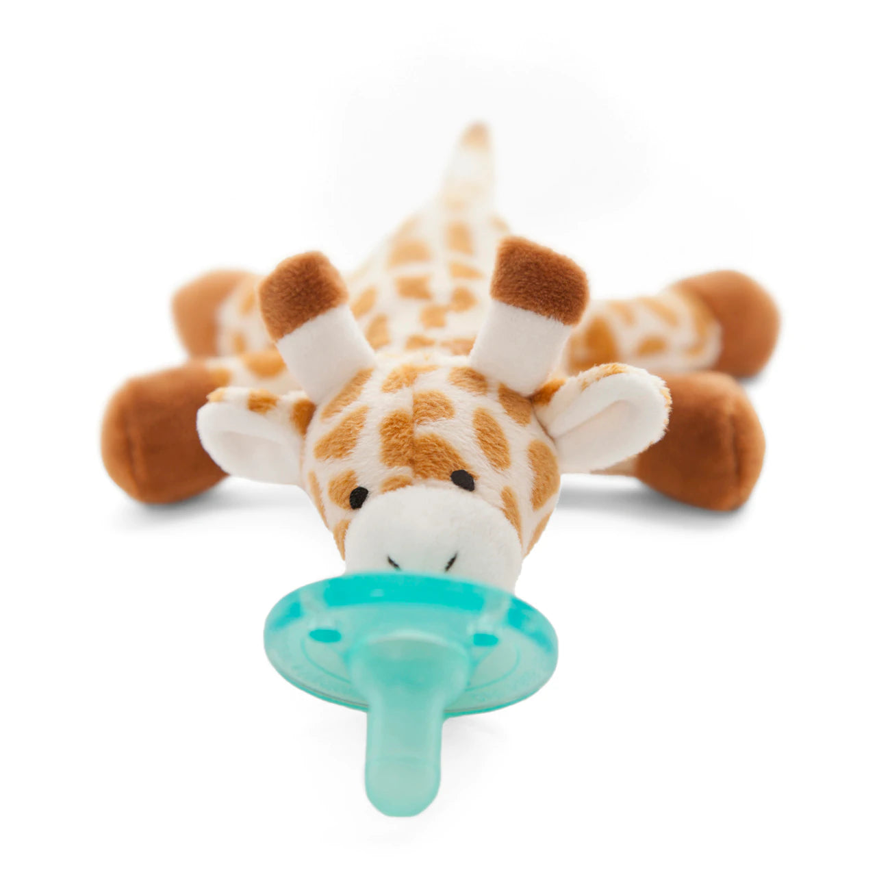 Sensory Pacifier & Teether Holder with Silicone Pacifier Sensory Pacifier & Teether Holder with Silicone Pacifier