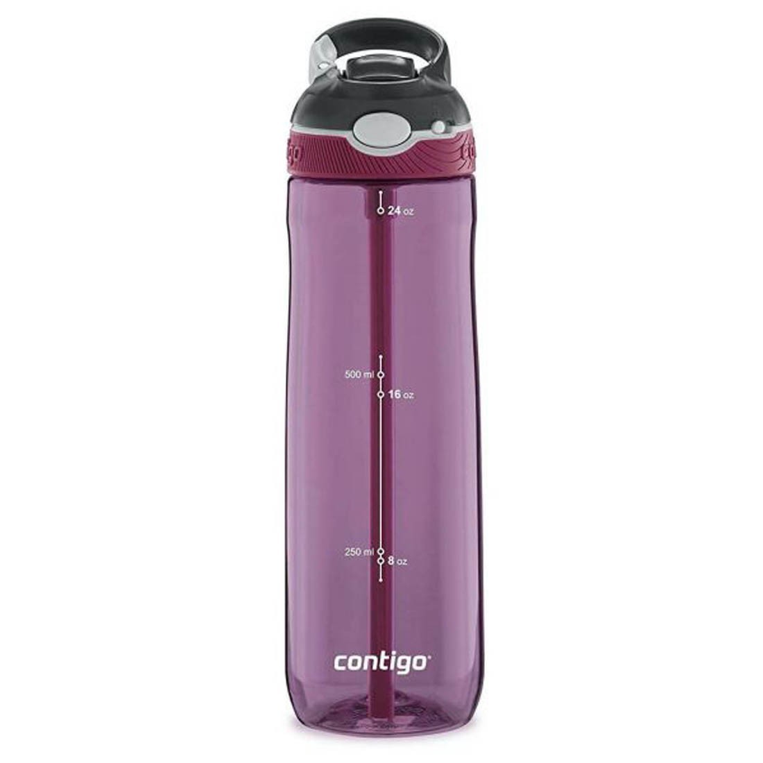 Contigo Autospout Ashland Water Bottle | 720ml - BambiniJO | Buy Online | Jordan