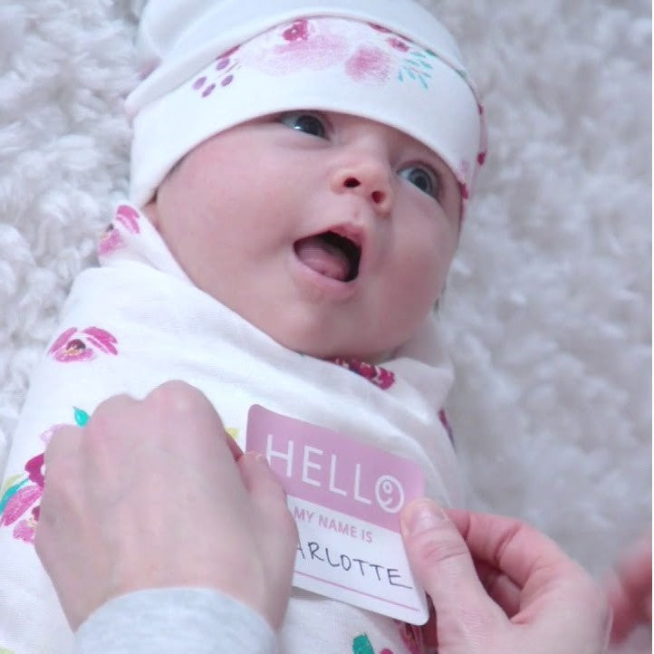 Hello World Set Posies Hello World Set Posies