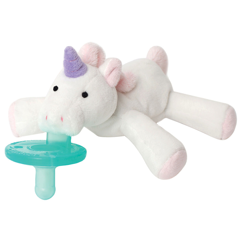 Sensory Pacifier & Teether Holder with Silicone Pacifier Sensory Pacifier & Teether Holder with Silicone Pacifier