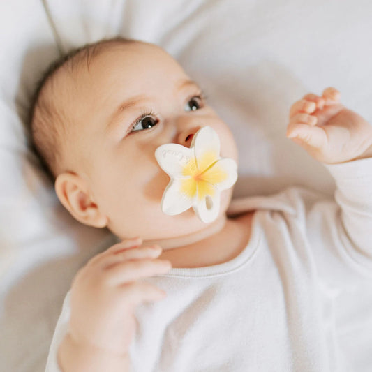 OLI & CAROL - Chewy-To-Go Hawaii the Flower Teether — BambiniJO Jordan
