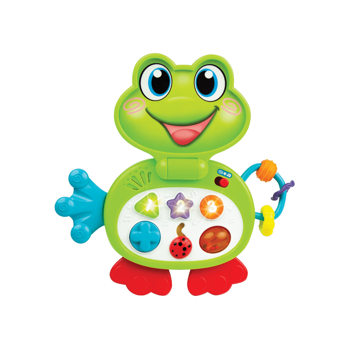 Busy Animal Laptop - Froggy 6m+ - BambiniJO | Buy Online | Jordan